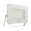 הצפה לבן EAGLE 50W IP65 אור קר